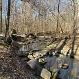 Double Rock Park Trail, Maryland - 941 Reviews, Map | AllTrails