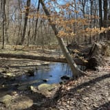 Double Rock Park Trail, Maryland - 941 Reviews, Map | AllTrails