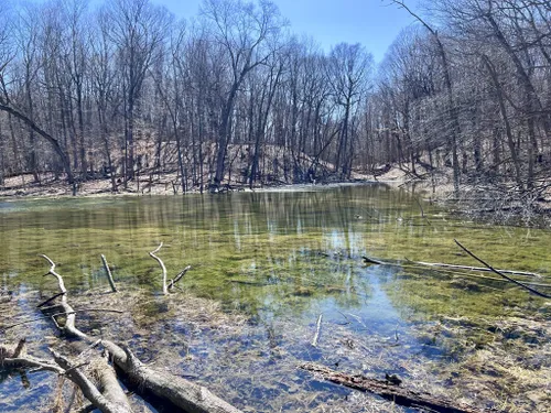 Pike Lake - Picture of Kettle Moraine State Forest, Wisconsin - Tripadvisor