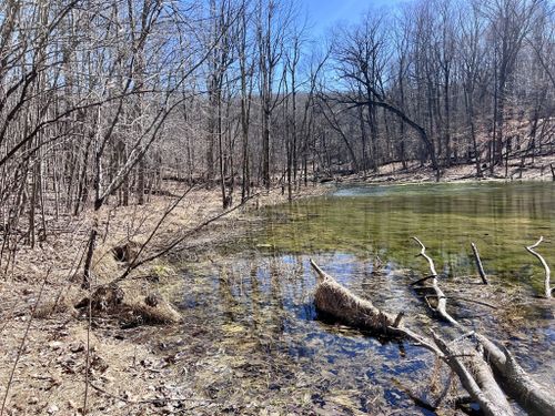 Pike Lake State Park - Picture of Kettle Moraine State Forest, Wisconsin -  Tripadvisor