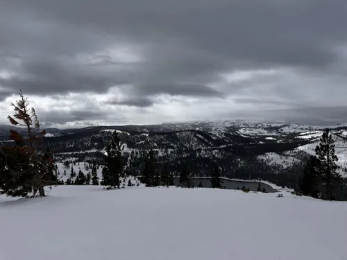 Best Lake Trails In Tahoe Donner Trail System Alltrails 3581