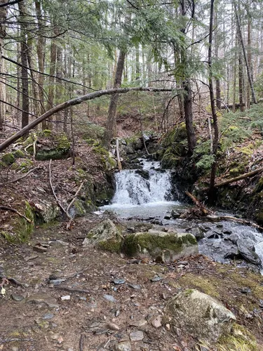 Best Hikes and Trails in Nictaux Falls | AllTrails