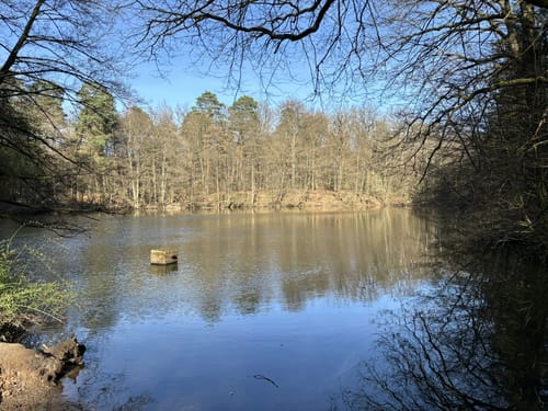 Königsforst Rundweg
