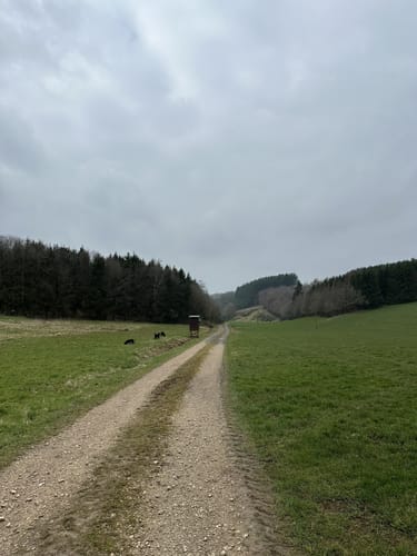 Oberpierscheid - Philipsweiler (Naturpark Südeifel Wanderweg Nr. 18)