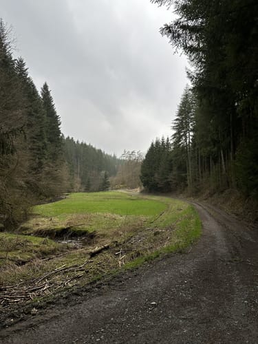 Oberpierscheid - Philipsweiler (Naturpark Südeifel Wanderweg Nr. 18)