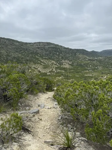 Trails in Hill Country State Natural Area, Texas, United States 71617271 | AllTrails.com