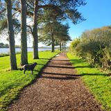 Thornton Reservoir And Bagworth Heath Woods Circular, Leicestershire ...