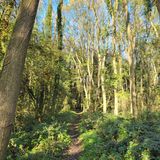 Thornton Reservoir And Bagworth Heath Woods Circular, Leicestershire ...