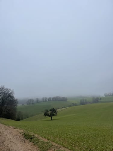 Rundwanderweg Altenbach 2: Ursenbach-Weg