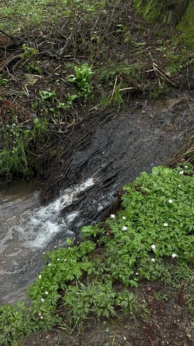 Rundwanderweg Altenbach 2: Ursenbach-Weg