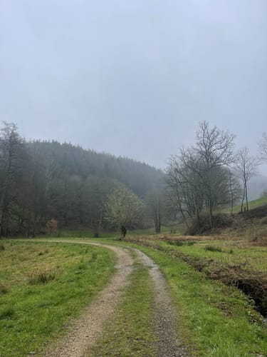 Rundwanderweg Altenbach 2: Ursenbach-Weg