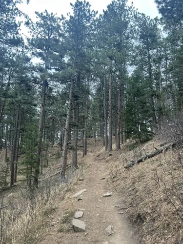 Best Kid Friendly Trails In Chautauqua Trailhead | AllTrails