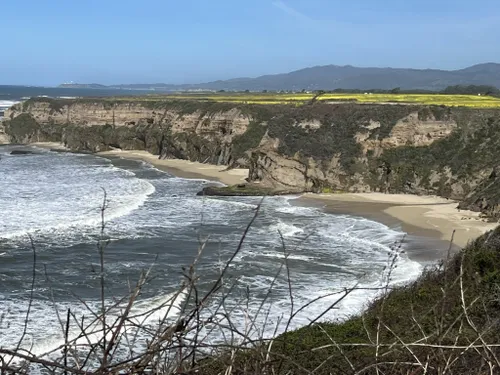 Best Hikes and Trails in Half Moon Bay State Beach