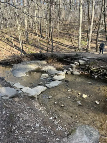 Best Wheelchair Friendly Trails - EyJidWNrZXQiOiJhc3NldHMuYWxsdHJhaWxzLmNvbSIsImtleSI6InVwbG9hZHMvcGhvdG8vaW1hZ2UvNzE2NjAzMzMvOTkxY2I4NGI5NGM0ZDYwZTBlMmFmMzcwYmZkYTQ3ZDQuanBnIiwiZWRpdHMiOnsidG9Gb3JtYXQiOiJ3ZWJwIiwicmVzaXplIjp7IndpZHRoIjo1MDAsImhlaWdodCI6NTAwLCJmaXQiOiJpbnNpZGUifSwicm90YXRlIjpudWxsLCJqcGVnIjp7InRyZWxsaXNRdWFudGlzYXRpb24iOnRydWUsIm92ZXJzaG9vdERlcmluZ2luZyI6dHJ1ZSwib3B0aW1pc2VTY2FucyI6dHJ1ZSwicXVhbnRpc2F0aW9uVGFibGUiOjN9fX0=