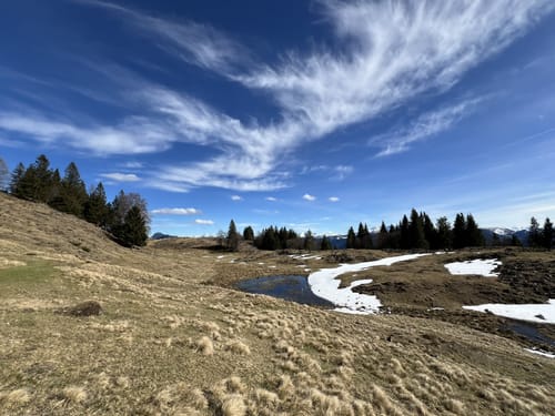 Rinderbrachalm - Stoibenmöseralm -Taubenseehütte