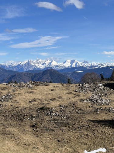 Rinderbrachalm - Stoibenmöseralm -Taubenseehütte