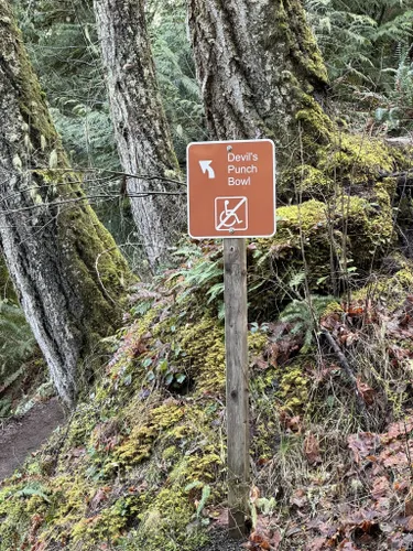 Best Stroller Friendly Trails in Olympic National Park | AllTrails