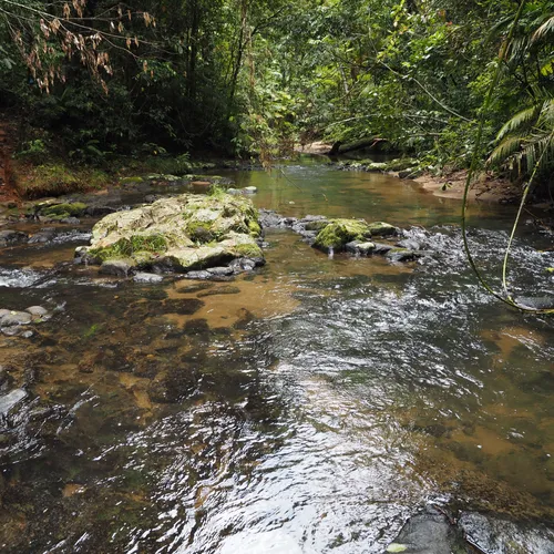 Best Camping Trails in Tully Falls National Park AllTrails