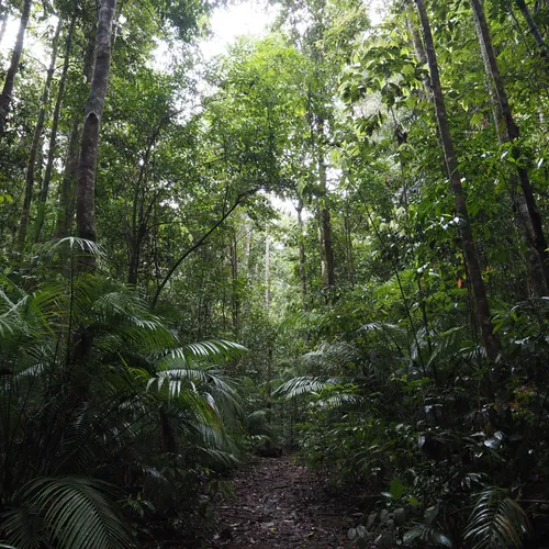 Best Camping Trails in Tully Falls National Park AllTrails