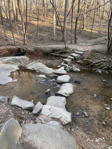 Best Wheelchair Friendly Trails - EyJidWNrZXQiOiJhc3NldHMuYWxsdHJhaWxzLmNvbSIsImtleSI6InVwbG9hZHMvcGhvdG8vaW1hZ2UvNzE2NjIzMzYvYjk4MGEwN2U5ZDU4M2NlMzY0YmIwMDVhMGU0MTNlNTAuanBnIiwiZWRpdHMiOnsidG9Gb3JtYXQiOiJ3ZWJwIiwicmVzaXplIjp7IndpZHRoIjo1MDAsImhlaWdodCI6NTAwLCJmaXQiOiJpbnNpZGUifSwicm90YXRlIjpudWxsLCJqcGVnIjp7InRyZWxsaXNRdWFudGlzYXRpb24iOnRydWUsIm92ZXJzaG9vdERlcmluZ2luZyI6dHJ1ZSwib3B0aW1pc2VTY2FucyI6dHJ1ZSwicXVhbnRpc2F0aW9uVGFibGUiOjN9fX0=