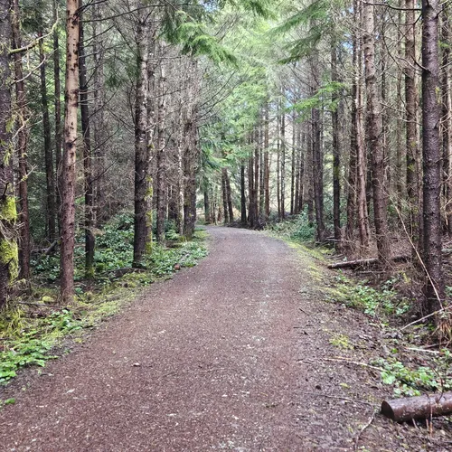 best-dog-friendly-trails-in-kingston-alltrails