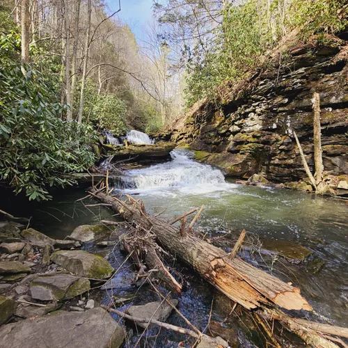 Best Hikes and Trails in Piney Creek Park and Preserve AllTrails