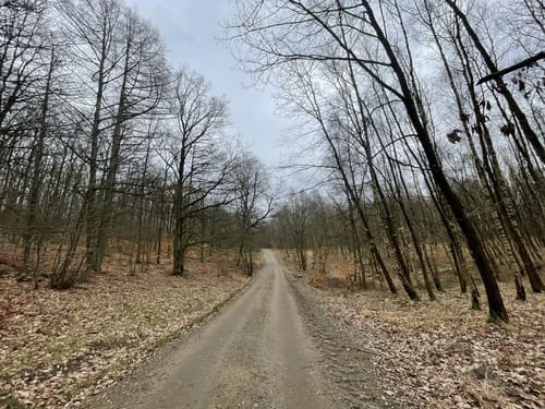 Groß Spiegelberg