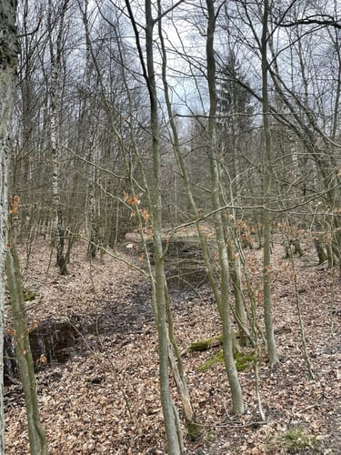 Groß Spiegelberg
