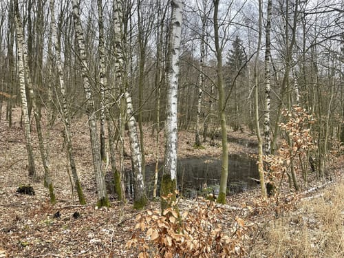Groß Spiegelberg