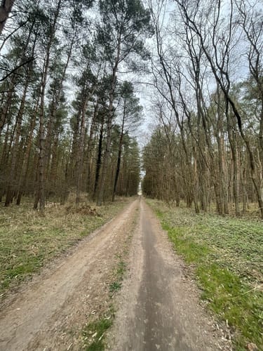 Groß Spiegelberg