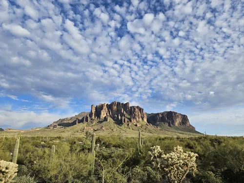 Lost dutchman state park treasure loop trail sale