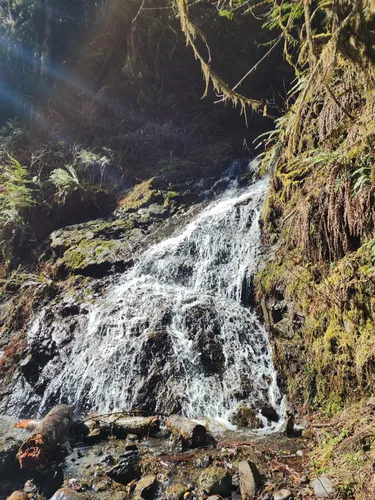 Best Historic Site Trails in Granite Falls | AllTrails