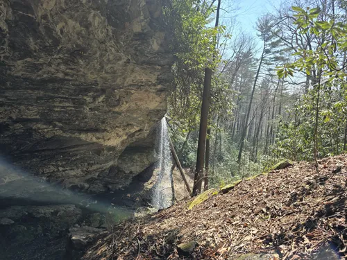 Best waterfall trails in Blue Valley Experimental Forest | AllTrails