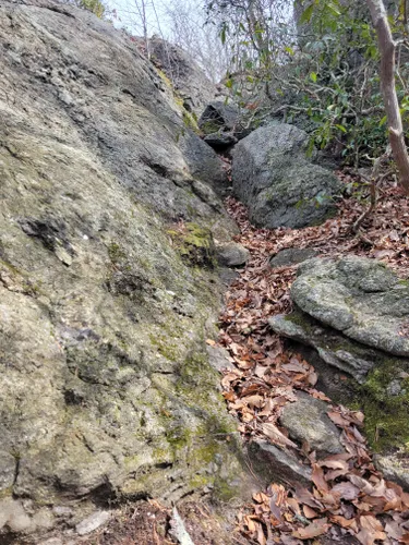 millers pond mountain biking