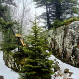 Buck Mountain Trail, New York - 3,176 Reviews, Map | AllTrails