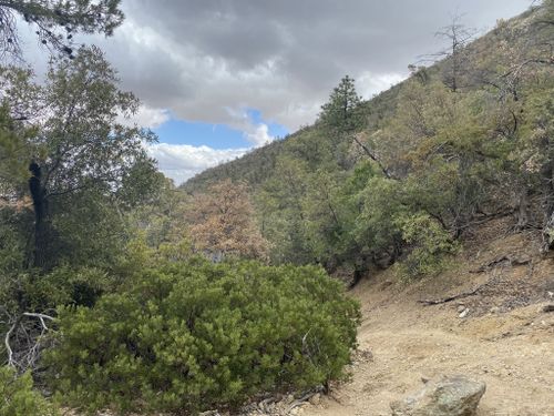 Photos of Ramsey Canyon Trail - Arizona