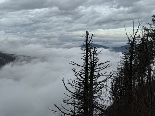 Photos of Eagle Rock via Weed Patch Mountain Trail and Tunnel