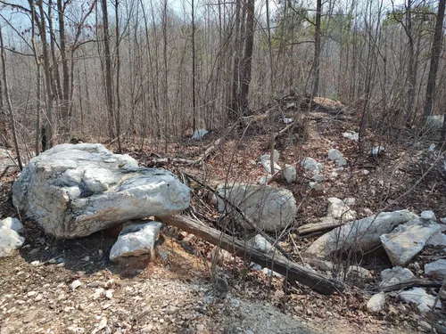 Best Short Trails in Troy | AllTrails