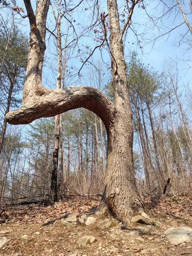 Best Short Trails in Troy | AllTrails