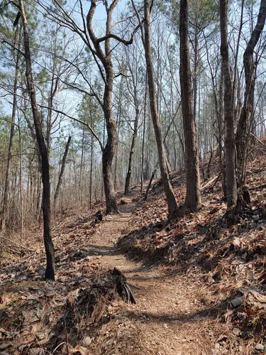 Best Short Trails in Troy | AllTrails