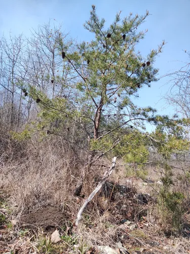 Best Short Trails in Troy | AllTrails