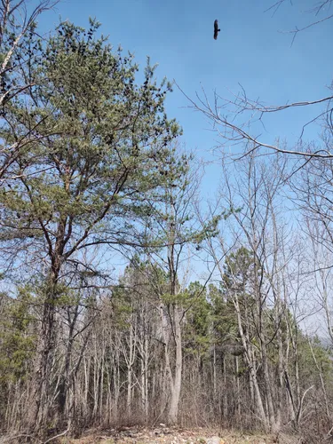 Best Short Trails in Troy | AllTrails