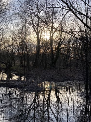 Photos of Oakland Lake Path - New York