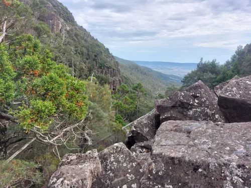 Best Forest Trails in Central Plateau Conservation Area AllTrails