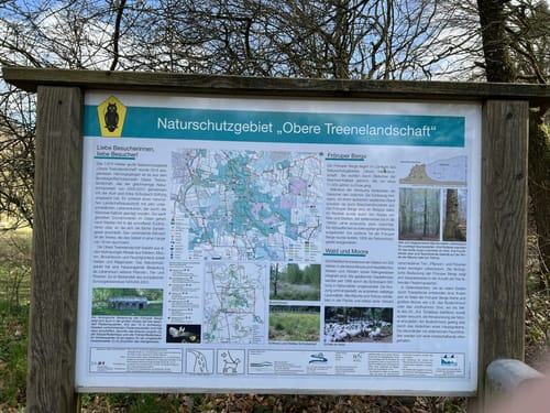 Libellenweg