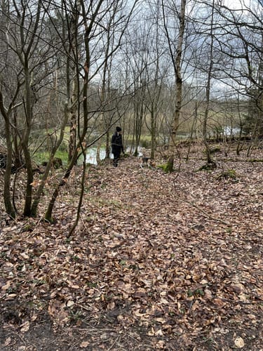 Libellenweg