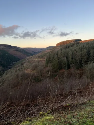 Best Walking Trails in Cwmcarn Forest | AllTrails