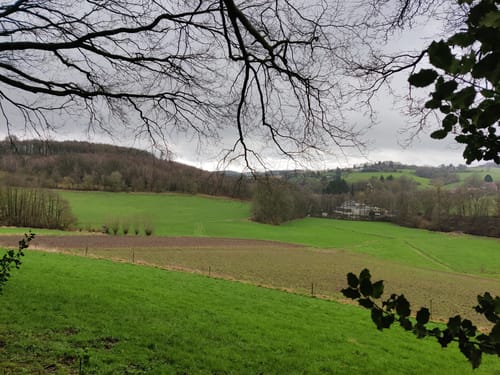 Elfringhauser Schweiz