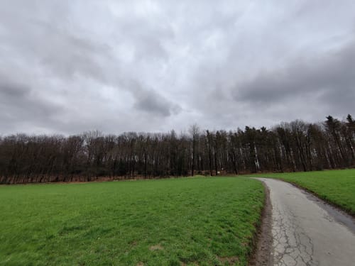 Elfringhauser Schweiz