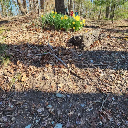 Best Walking Trails in Wenonah AllTrails